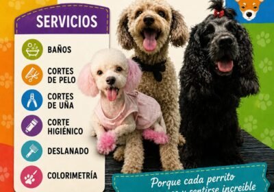 PERRUQUERIA