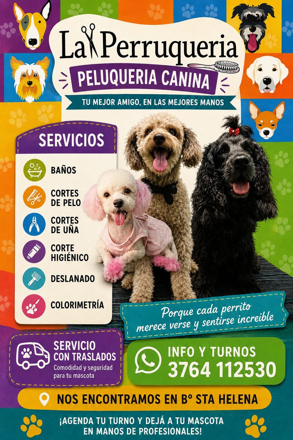 LA PERRUQUERIA IVANA